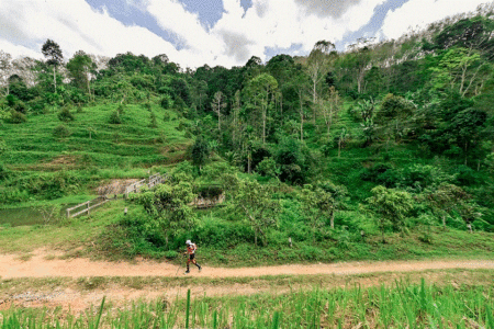 Amazean Jungle Thailand by UTMB, una primera edición sobresaliente